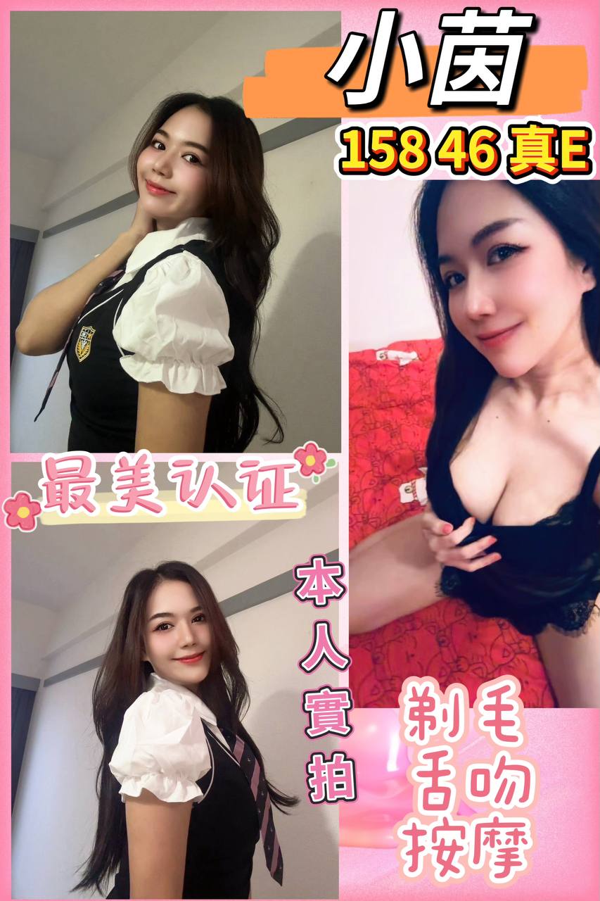 大園區定點茶/外送茶 建志 159/48/24/34C